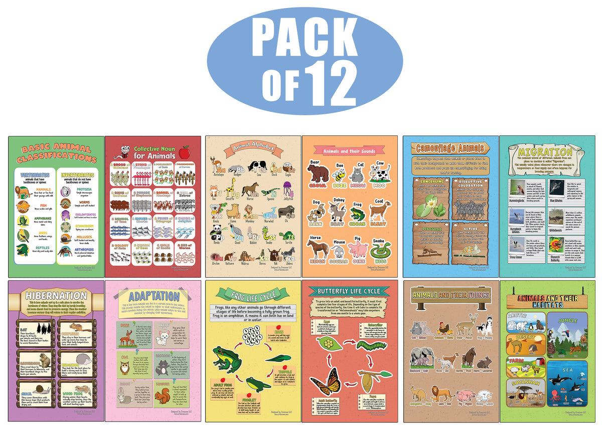 Creanoso Learning Posters - Animals - Fun and Encouraging Homeschool G