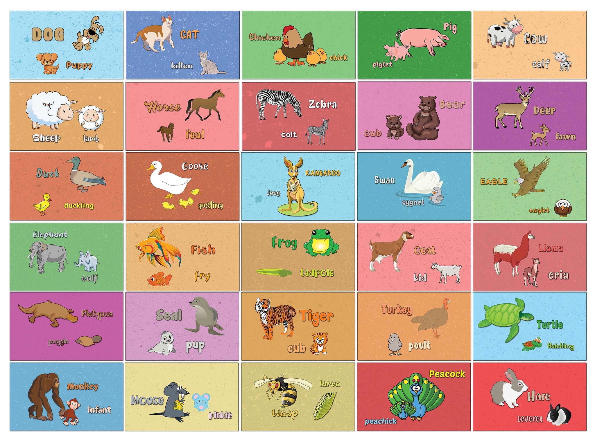 Creanoso Baby Animals and Their Parents Learning Cards - Children Learning Cards - Stocking Stuffer