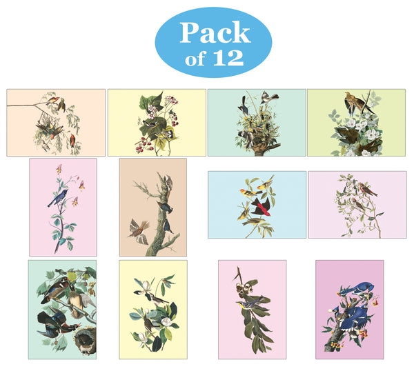 Creanoso Birds Postcards - Premium Quality Gift Set