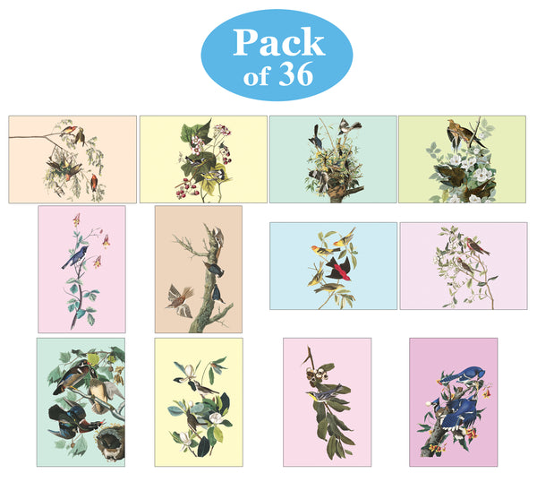 Creanoso Birds Postcards - Premium Quality Gift Set