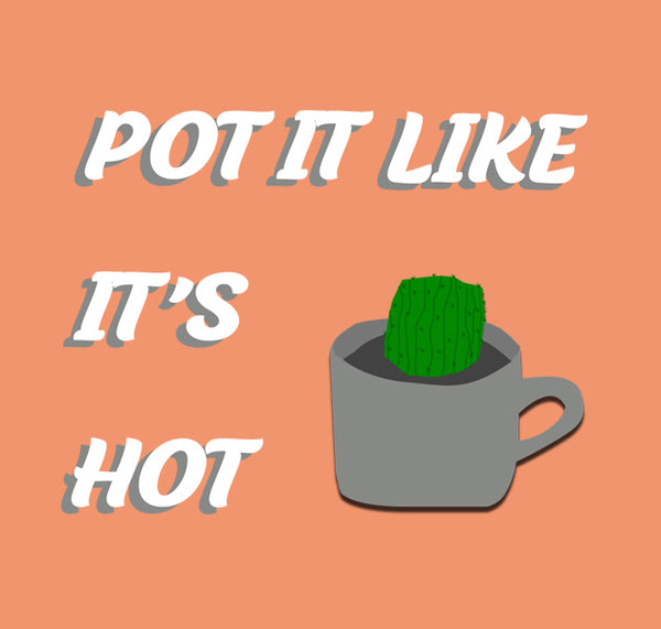 Creanoso Cactus and Succulents Quotes Stickers - Great Stocking Stuffers Gifts