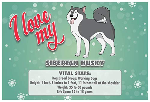 Creanoso Colorful I Love My Dog Postcards (30-Pack) â€“ German Shephard, Siberian Husky, Beagle, Pug, Dachshund, Corgi with Vital Stats â€“ 6 Greeting Cards Designs - Premium Greeting Cards Set