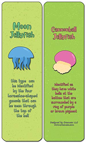 Creanoso Jellyfish Bookmark Cards (60-Pack) - Premium Quality Gift Ideas for Children, Teens, & Adults for All Occasions - Stocking Stuffers Party Favor & Giveaways