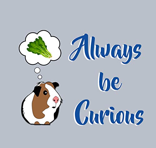 Creanoso Cute Animal Motivational Quotes Stickers (20-Sheet) â€“ Awesome Stocking Stuffers Gifts for Men & Women, Teens, Boys, Girls â€“ Wall Art Decal DÃ©cor Bulk Set â€“ Unique Giveaways Decal Pack