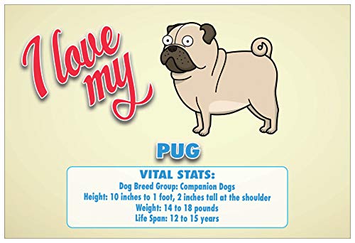 Creanoso Colorful I Love My Dog Postcards (30-Pack) â€“ German Shephard, Siberian Husky, Beagle, Pug, Dachshund, Corgi with Vital Stats â€“ 6 Greeting Cards Designs - Premium Greeting Cards Set