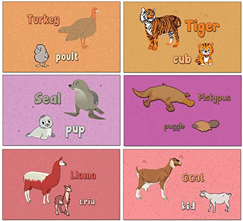 Animals Alphabet Flash Cards for Children (52-Pack - 26 cards with front and back designs x 2 sets)