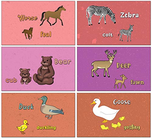 Animals Alphabet Flash Cards for Children (52-Pack - 26 cards with front and back designs x 2 sets)