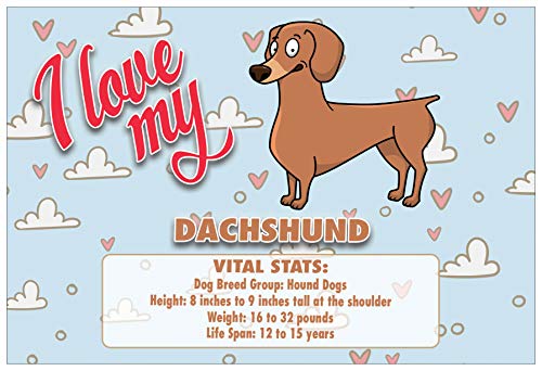 Creanoso Colorful I Love My Dog Postcards (30-Pack) â€“ German Shephard, Siberian Husky, Beagle, Pug, Dachshund, Corgi with Vital Stats â€“ 6 Greeting Cards Designs - Premium Greeting Cards Set