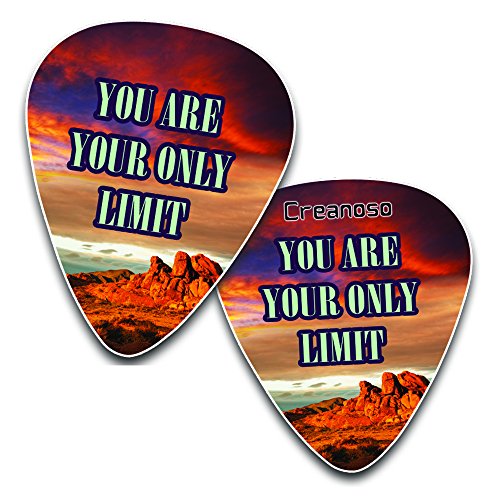 Creanoso Cool Guitar Picks (12-Pack) - Inspirational Success Quotes Unique for Men Him Boyfriend husband Her wife Girls - Stocking Stuffers for Christmas New Year Birthday Party Favors