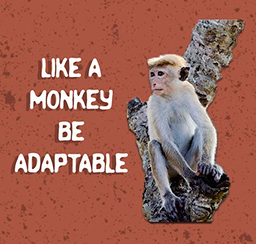 Creanoso Wild Animals Inspiring Sayings Stickers (20-Sheet) â€“ Awesome Stocking Stuffers Gifts for Men & Women, Teens, Boys, Girls â€“ Wall Art Decal DÃ©cor Bulk Set â€“ Unique Safari Adventure Giveaways