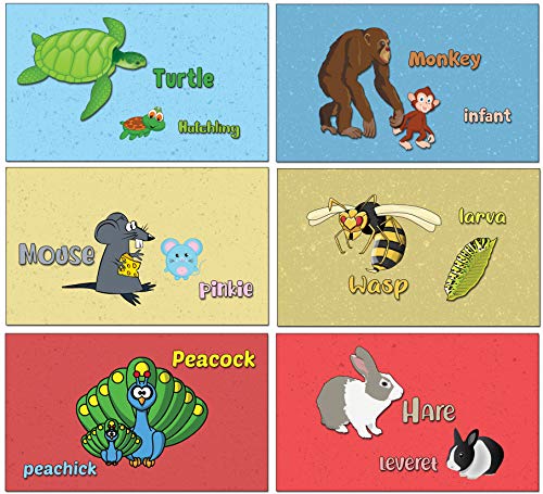 Animals Alphabet Flash Cards for Children (52-Pack - 26 cards with front and back designs x 2 sets)