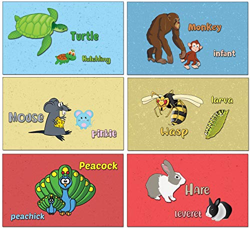 Elementary Substraction Learning Flash Cards for Children (60-Pack - 12 cards front & back designs x 5 sets)