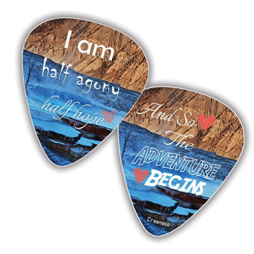Love Guitar Picks (12-Pack) - I Love You Valentines Loving You Sweet Heart Unique Cool Romantic Cool Collectible - Music & Guitar Accessories for Boys Son Men Him