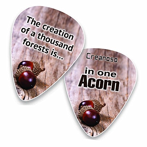 Guitar Picks (12-Pack) - Inspirational Dream Big Quotes Cool Gifts for Men Him Boyfriend husband Her wife Girls- Valentines day, Anniversary, Birthday Christmas Stocking Stuffers