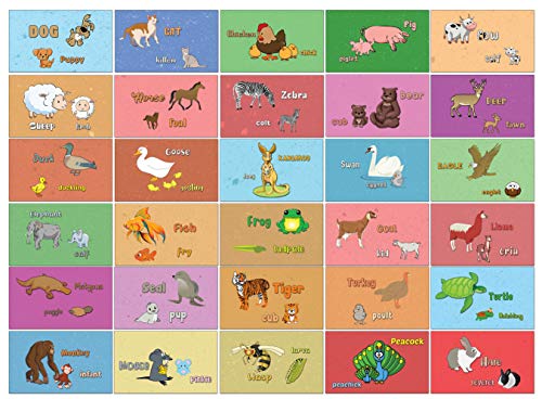 Animals Alphabet Flash Cards for Children (52-Pack - 26 cards with front and back designs x 2 sets)