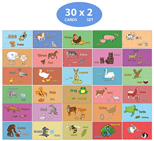 Animals Alphabet Flash Cards for Children (52-Pack - 26 cards with front and back designs x 2 sets)