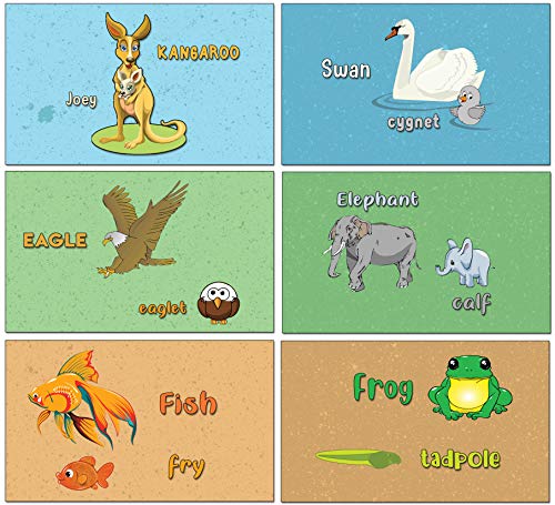 Elementary Addition Learning Flash Cards for Children (100-Pack - 10 cards front & back designs x 10 sets)