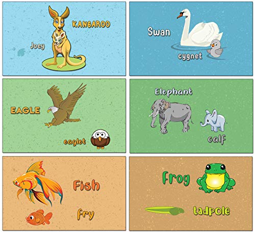 Animals Alphabet Flash Cards for Children (52-Pack - 26 cards with front and back designs x 2 sets)