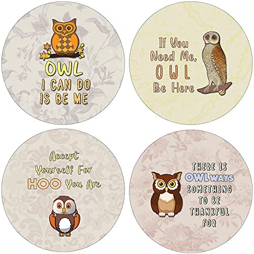 Motivational Owl Stickers (5 Sets X 16 Designs) - Classroom Reward Incentive Gift Ideas for Homeschoolers