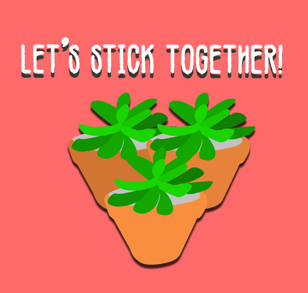 Creanoso Cactus and Succulents Quotes Stickers - Great Stocking Stuffers Gifts