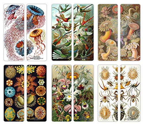 Creanoso Beautiful Bookmarks Cards Series 1 (30-Pack) - Ernst Haeckel Print Drawings - Cool Room Decal Wall Decor - Stocking Stuffers Gifts for Men Women Teens Kids