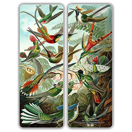 Creanoso Beautiful Bookmarks Cards Series 1 (30-Pack) - Ernst Haeckel Print Drawings - Cool Room Decal Wall Decor - Stocking Stuffers Gifts for Men Women Teens Kids