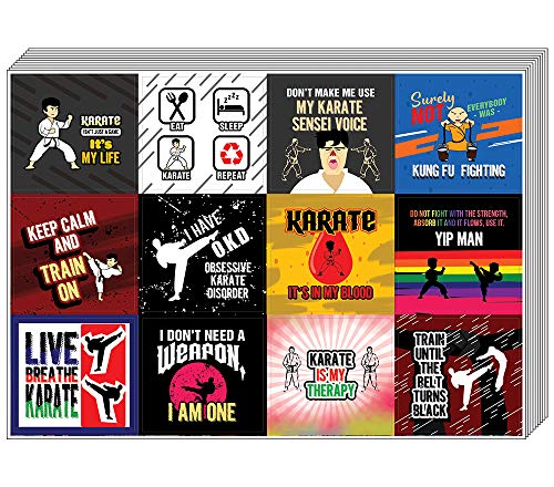 Taekwondo Stickers (20-Sheet)-Premium Quality Design Perfect Gift s - Stocking Stuffers Gift Ideas for Boys and Girls