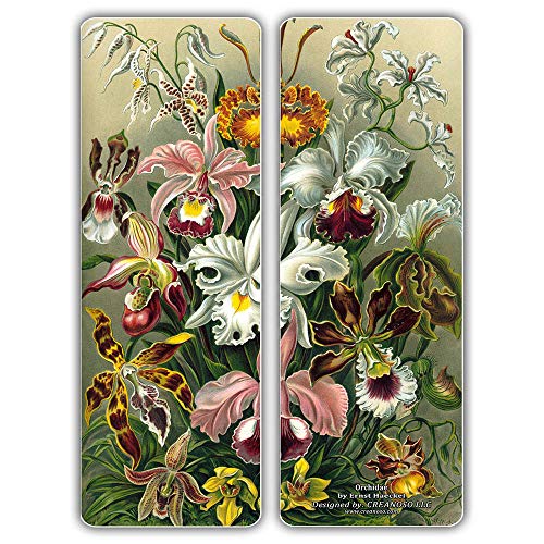 Creanoso Beautiful Bookmarks Cards Series 1 (30-Pack) - Ernst Haeckel Print Drawings - Cool Room Decal Wall Decor - Stocking Stuffers Gifts for Men Women Teens Kids