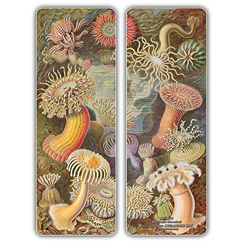 Creanoso Ernst Haeckel Unique Bookmarker Bulk Series 1 (60-Pack) - Art Forms from Nature - Sea Creatures Botanical Birds Species - Premium Quality Sturdy Bookmarks