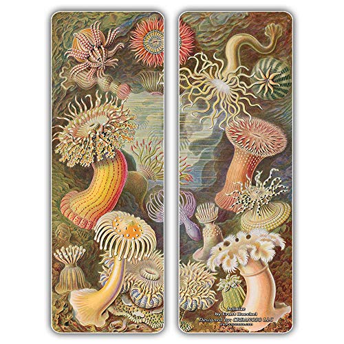 Creanoso Beautiful Bookmarks Cards Series 1 (30-Pack) - Ernst Haeckel Print Drawings - Cool Room Decal Wall Decor - Stocking Stuffers Gifts for Men Women Teens Kids