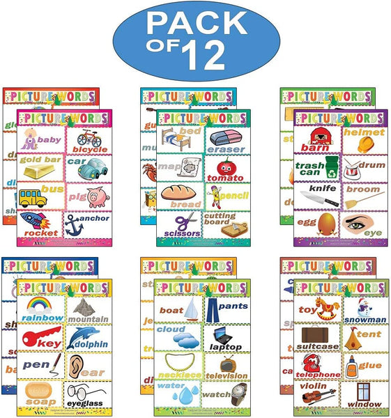 Picture Words Learning Posters (12-Pack)