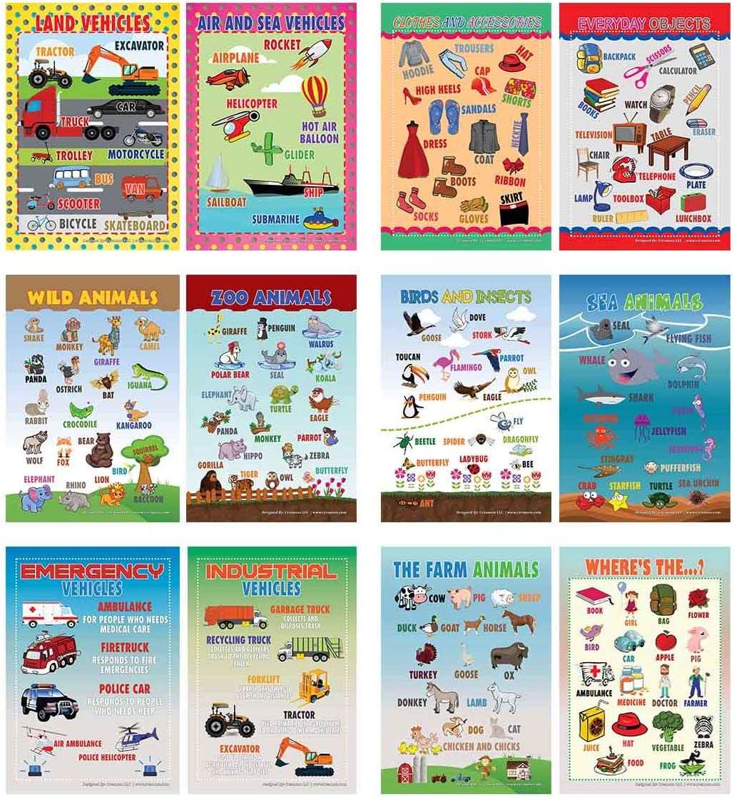 Creanoso Visual Objects Educational Posters (6-Pack) - Pretty Favors Teacher Teaching Supply