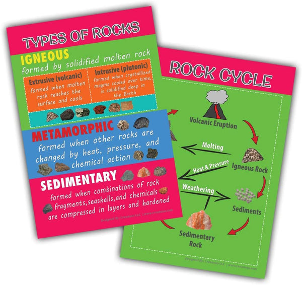 Intermediate Level Science Educational Learning Posters (24-Pack)