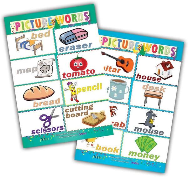 Picture Words Learning Posters (24-Pack)