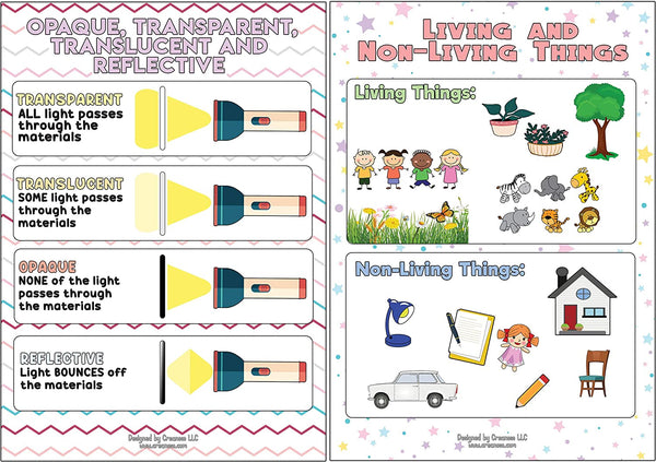 Creanoso Amusing Science Basics Educational Learning Posters (6-Pack) - Stocking Stuffers Premium Quality Gift Ideas for Children, Teens, & Adults - Corporate Giveaways & Party Favors