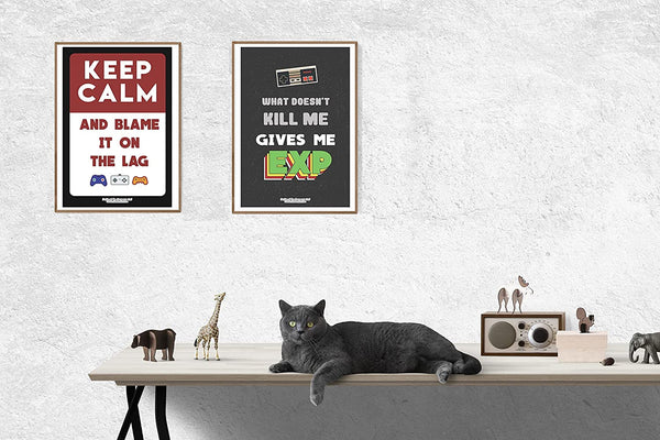 Fun Gamer Posters (4-Set X 6 Designs)