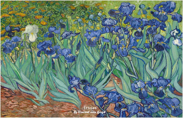 Vincent Van Gogh Starry Night Famous Paintings Postcards (60 Pack) - Starry Night Sunflowers Famous Paintings Postcards - Collectible Vintage Art Gifts - Premium Quality - Best Stocking Stuffers