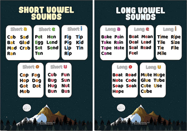 Delightful Primary English Educational Learning Posters (12-Pack)