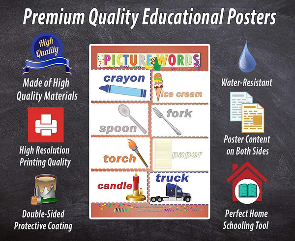 Picture Words Learning Posters (12-Pack)