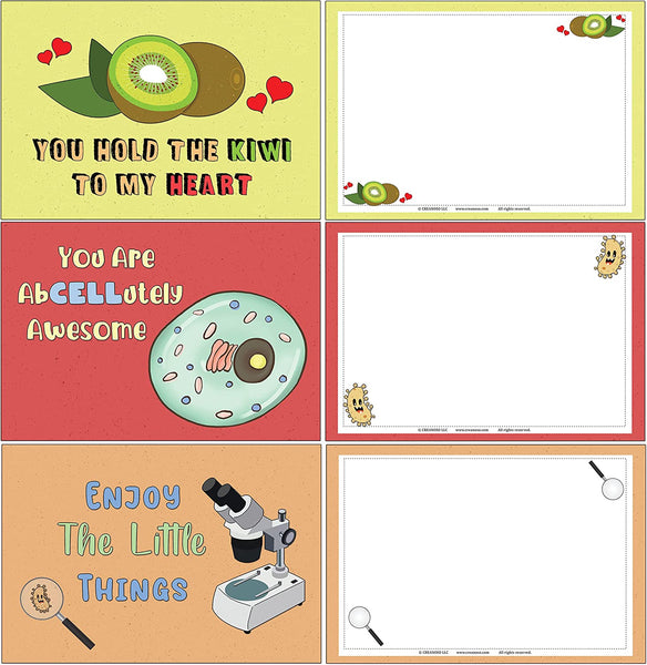 Positivity Pun Postcards (4 Set X 12 Designs)