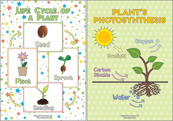 Creanoso Amusing Science Basics Educational Learning Posters (24-Pack) - Premium Quality Gift Ideas for Children, Teens, & Adults for All Occasions - Stocking Stuffers Party Favor & Giveaways