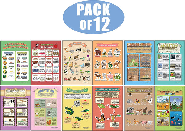 Creanoso Learning Posters - Animals (12-Pack) - Premium Buy Bulk Pack Quality Teaching Guide for Homeschool Nursery Kindergarten Classroom
