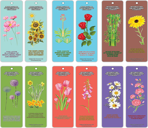 Creanoso Weekday Inspirations Bookmarks (60-Pack) - Premium Quality Gift Ideas for Children, Teens, & Adults for All Occasions - Stocking Stuffers Party Favor & Giveaways