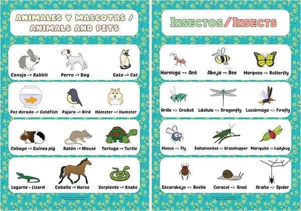 Spanish English Bilingual Family Topic Educational Learning Posters (1 Set X 12 Designs)