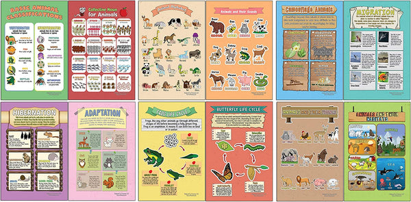 Creanoso Learning Posters - Animals (12-Pack) - Premium Buy Bulk Pack Quality Teaching Guide for Homeschool Nursery Kindergarten Classroom