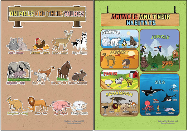 Creanoso Learning Posters - Animals (12-Pack) - Premium Buy Bulk Pack Quality Teaching Guide for Homeschool Nursery Kindergarten Classroom