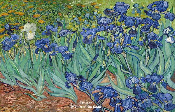 Vincent Van Gogh Starry Night Famous Paintings Postcards ((12-Pack))