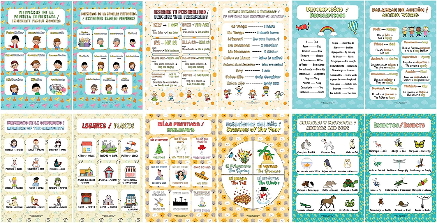Spanish English Bilingual Family Topic Educational Learning Posters (4 Sets X 12 Designs)