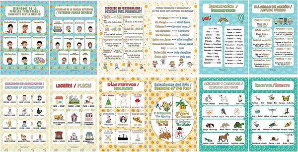 Spanish English Bilingual Family Topic Educational Learning Posters (4 Sets X 12 Designs)