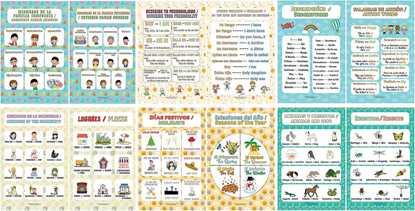 Spanish English Bilingual Family Topic Educational Learning Posters (1 Set X 12 Designs)